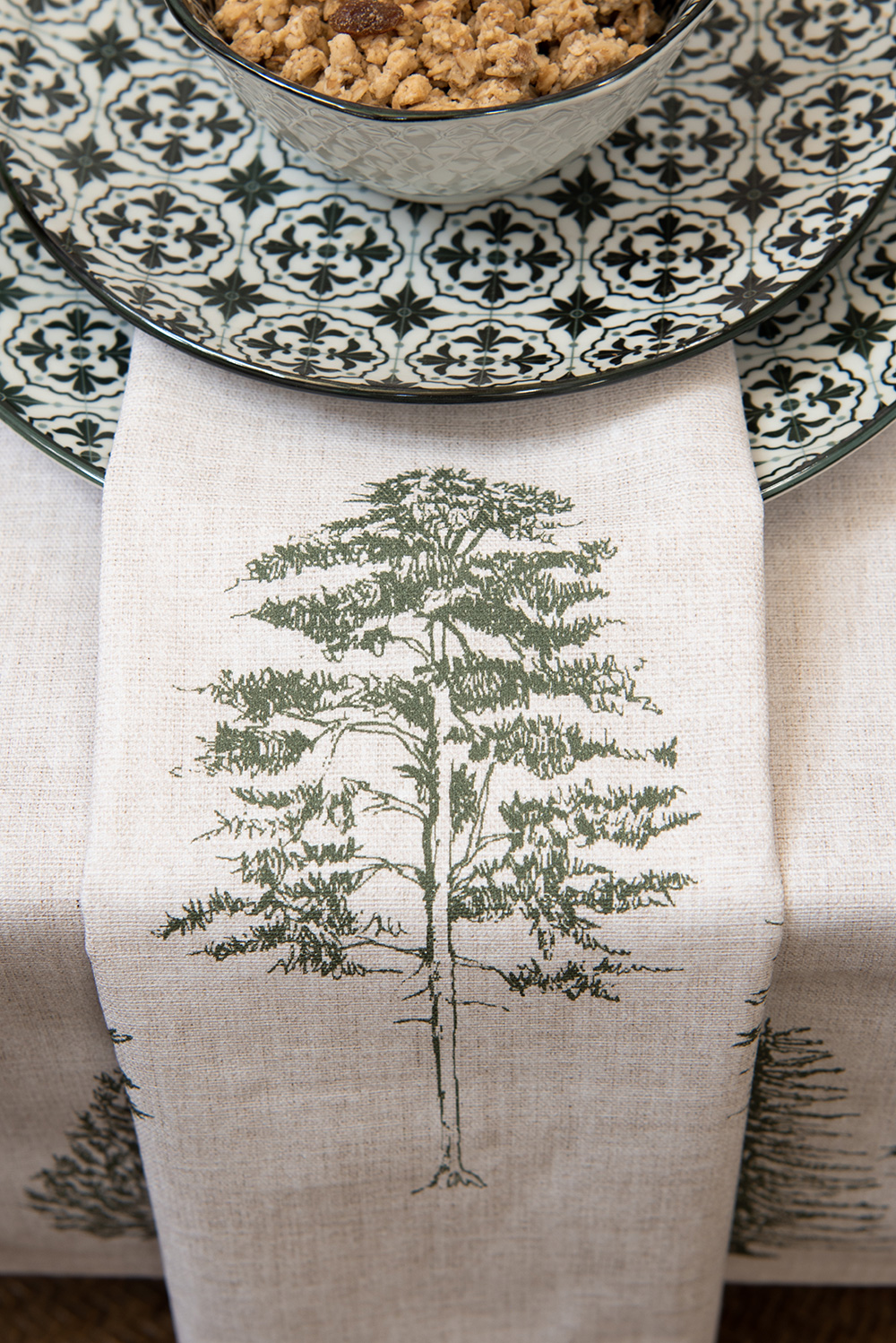 SF_NPT01_NPT07_NPT21_NPT25_NPT29_NPT40_NPT41_NPT42_NPT43_NPT44_NPT45_NPT47_NPT48_NPT64_NPT65_NPT03_NPT05_NPT15_03.jpg
