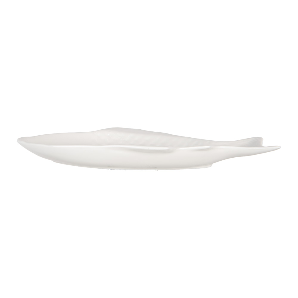 6CEBO0199XS_02.jpg
