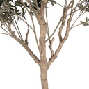 5PL0139_03.jpg