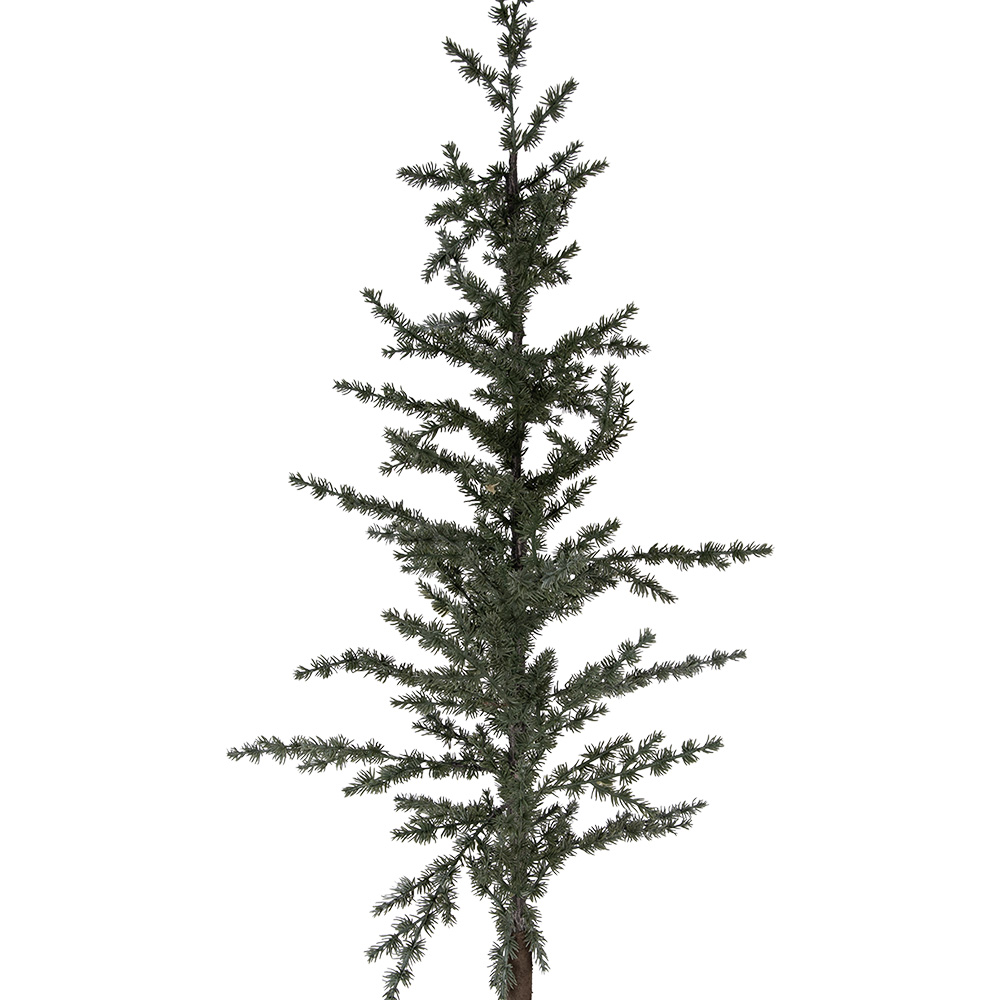 50835_03.jpg