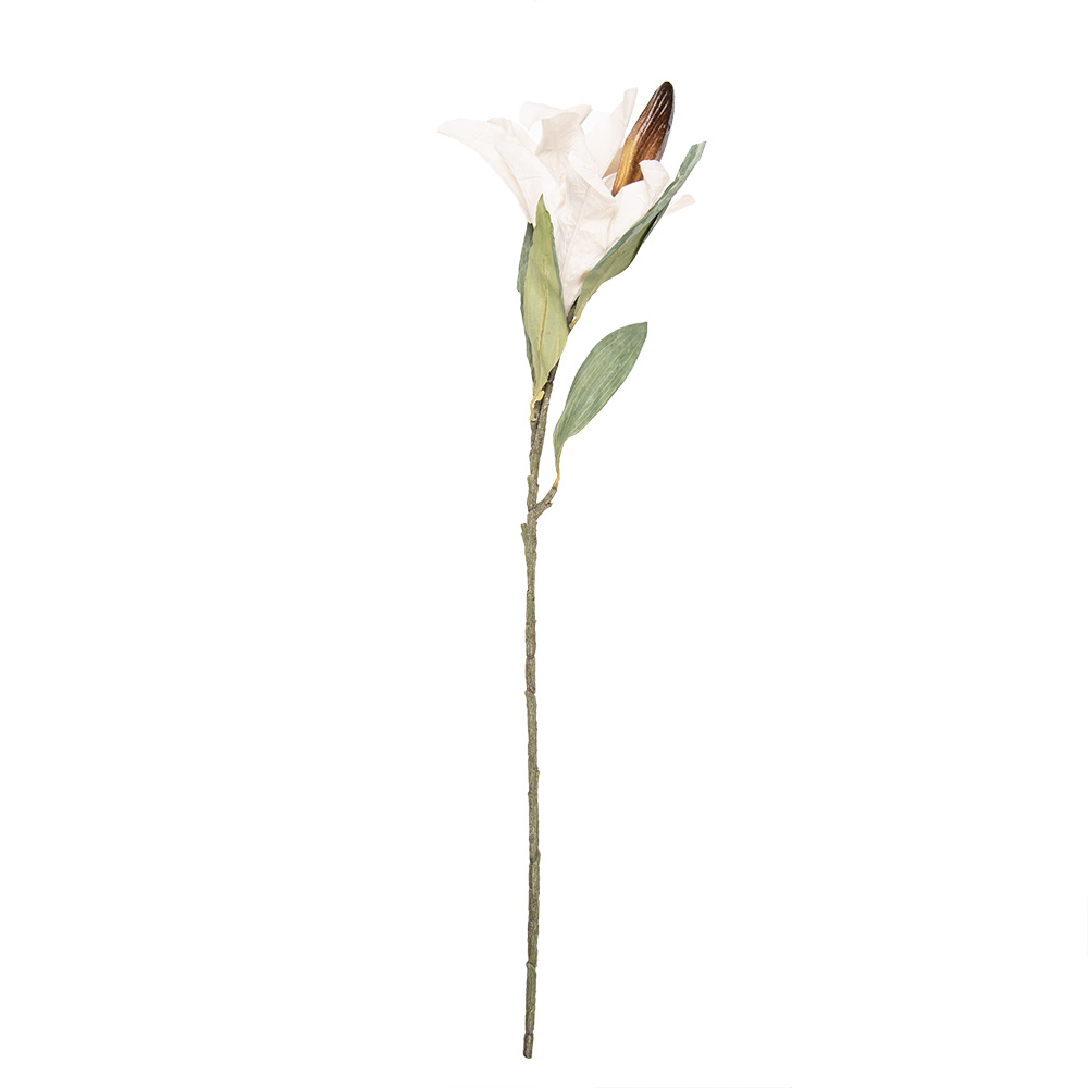 5PL0252BE_02.jpg