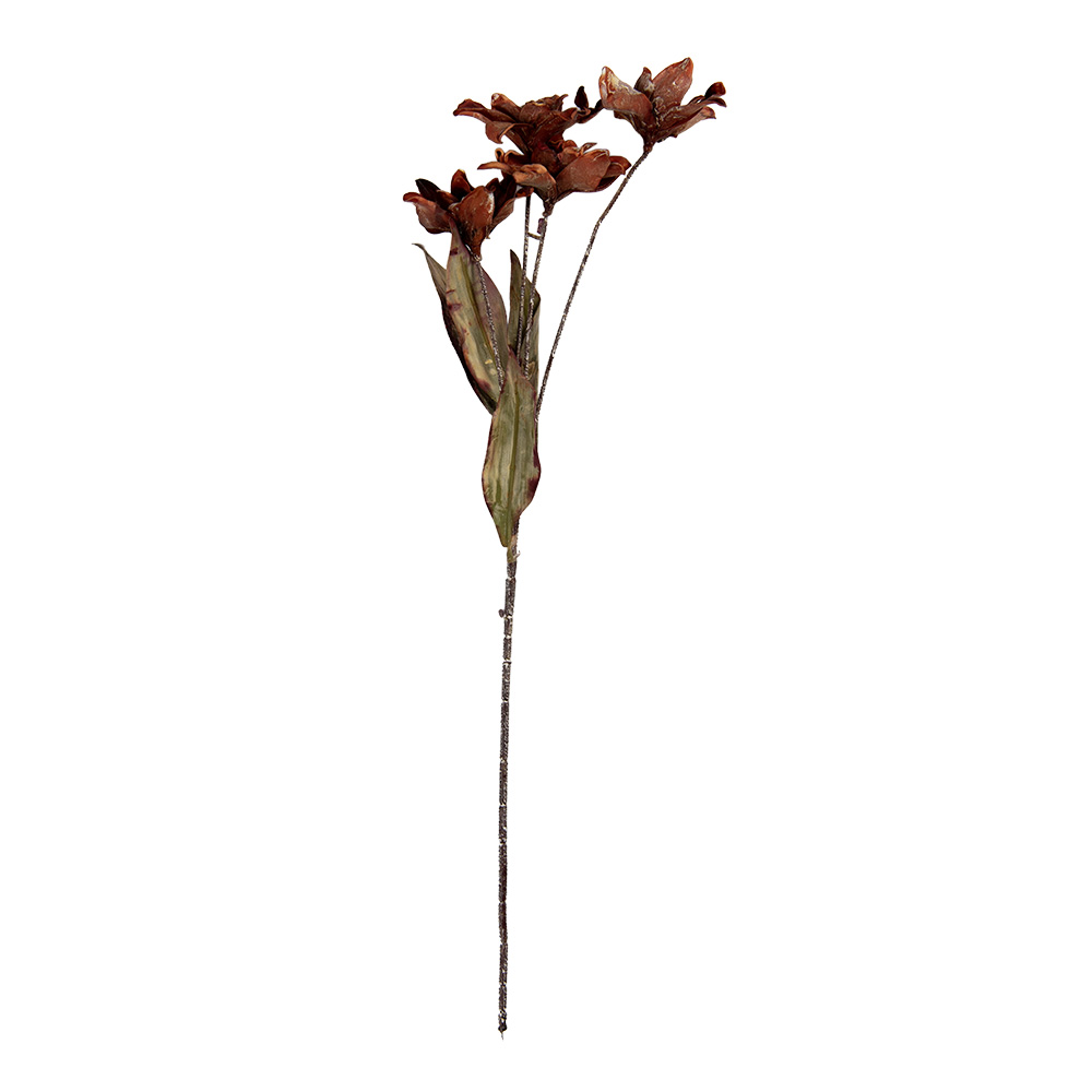 6PL0403O_02.jpg