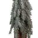 66430_02.jpg
