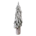 50838_02.jpg