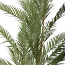 5PL0231_02.jpg