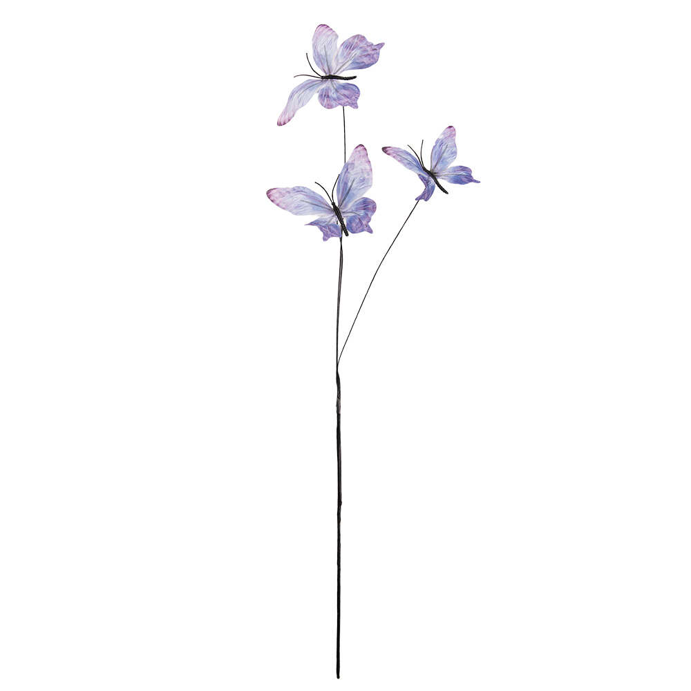 50868_02.jpg