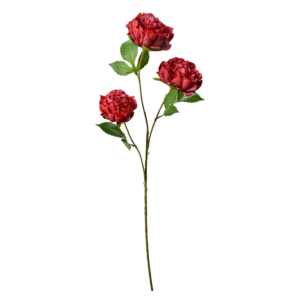 5PL0166R_02.jpg