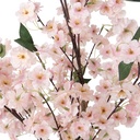5PL0229_04.jpg