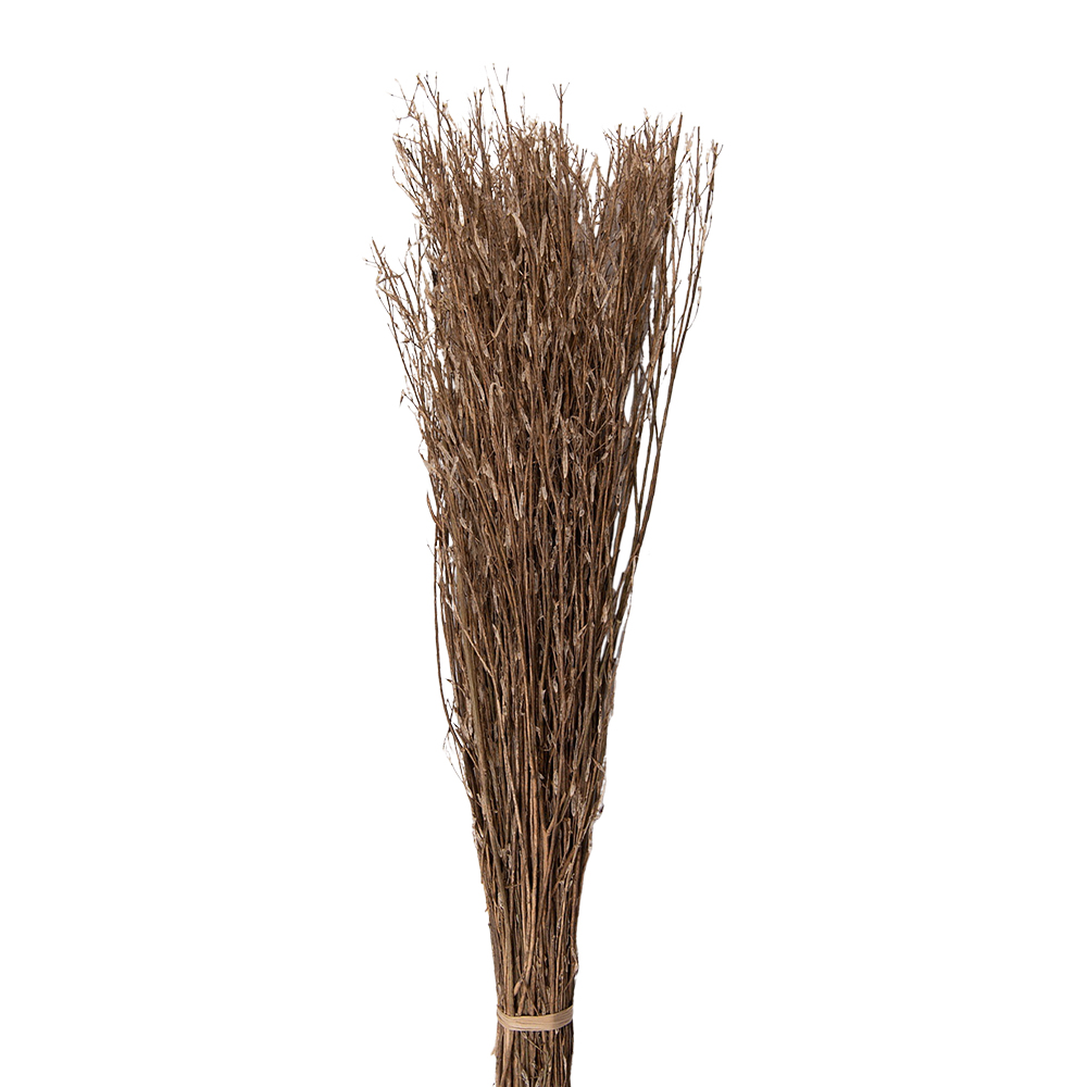 [5DF0007] Getrocknete Blumen Beige 20x6x80 cm