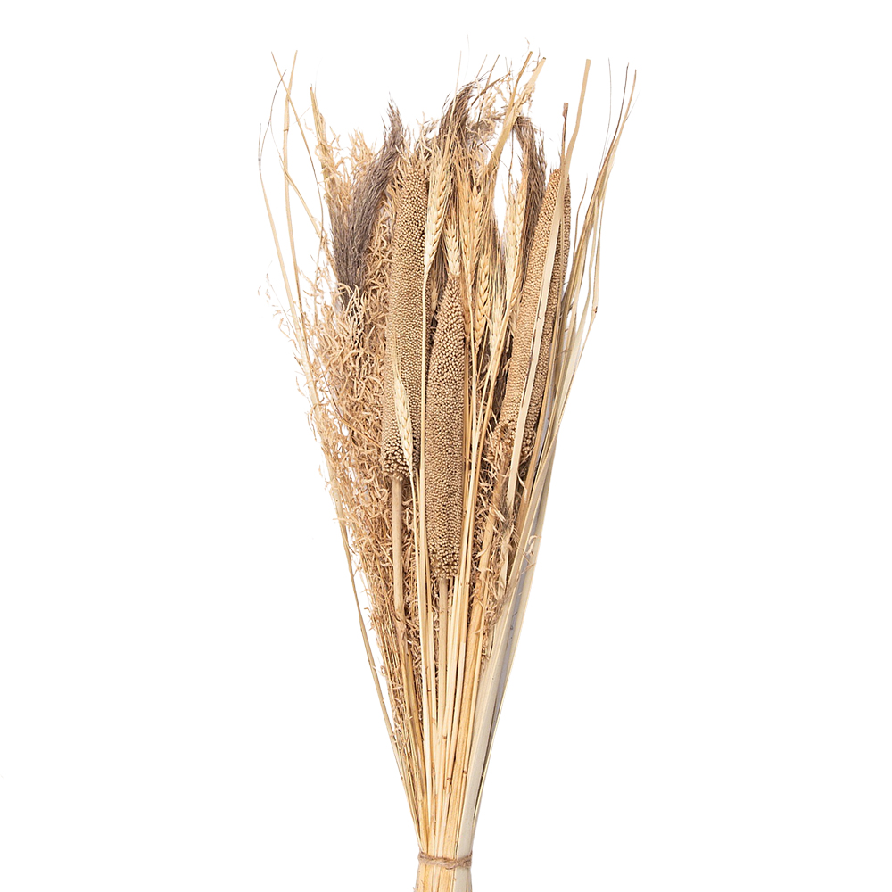 [5DF0008] Droogbloemen 20x6x80 cm