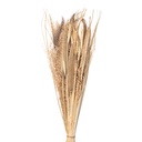 Fiore Secchi Beige 20x6x80 cm