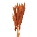 Droogbloemn bamboe 90 cm (10)