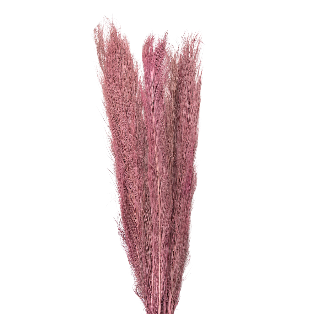 [5DF0015] Droogbloemen 100 cm (15)