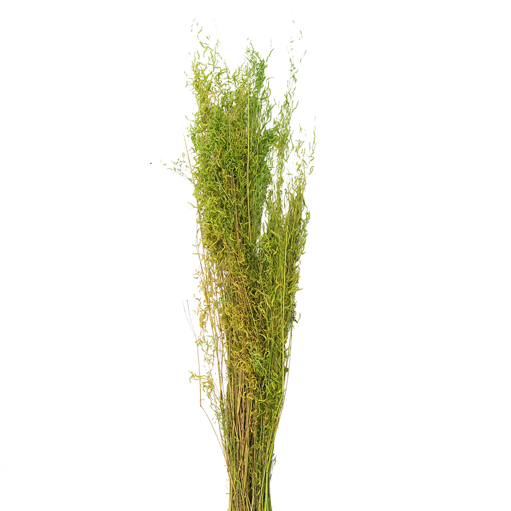 Droogbloemen 90 cm (50 gr)