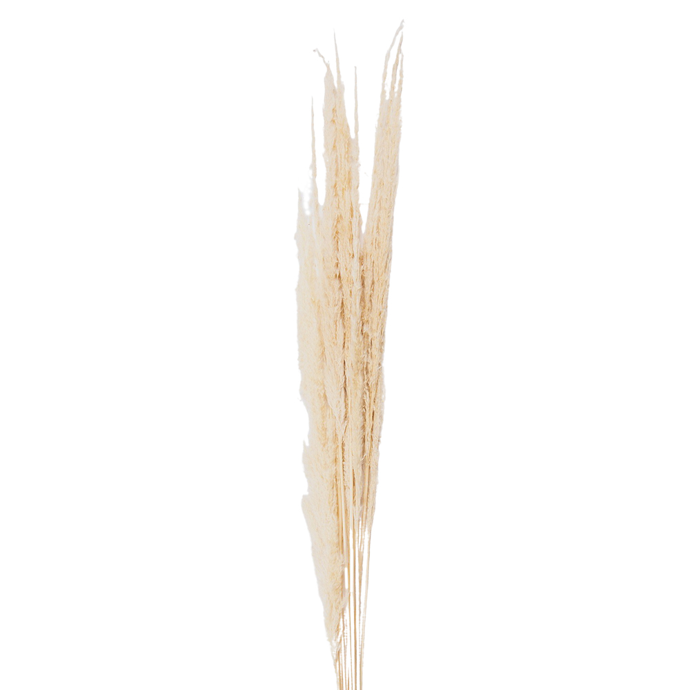 [5DF0021] Droogbloemen 90 cm (10)