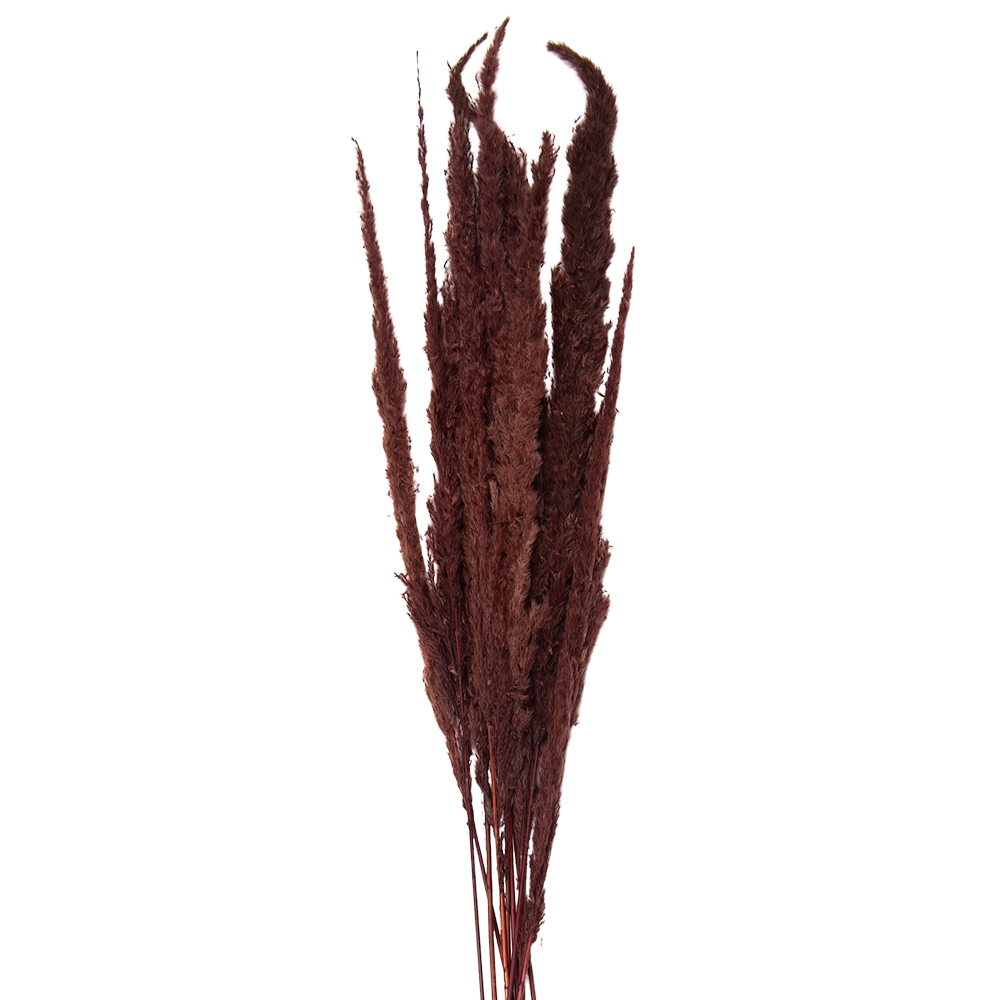 [5DF0023] Droogbloemen 100 cm (10)