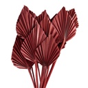 Fiore Secchi Rossa 60 cm (12)