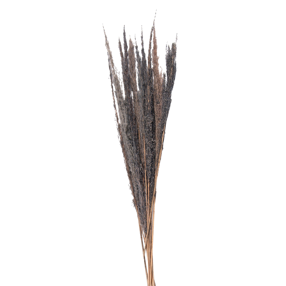 [5DF0035] Droogbloemen 100 cm (10)