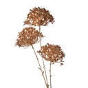 Kunstbloem 12x7x68 cm