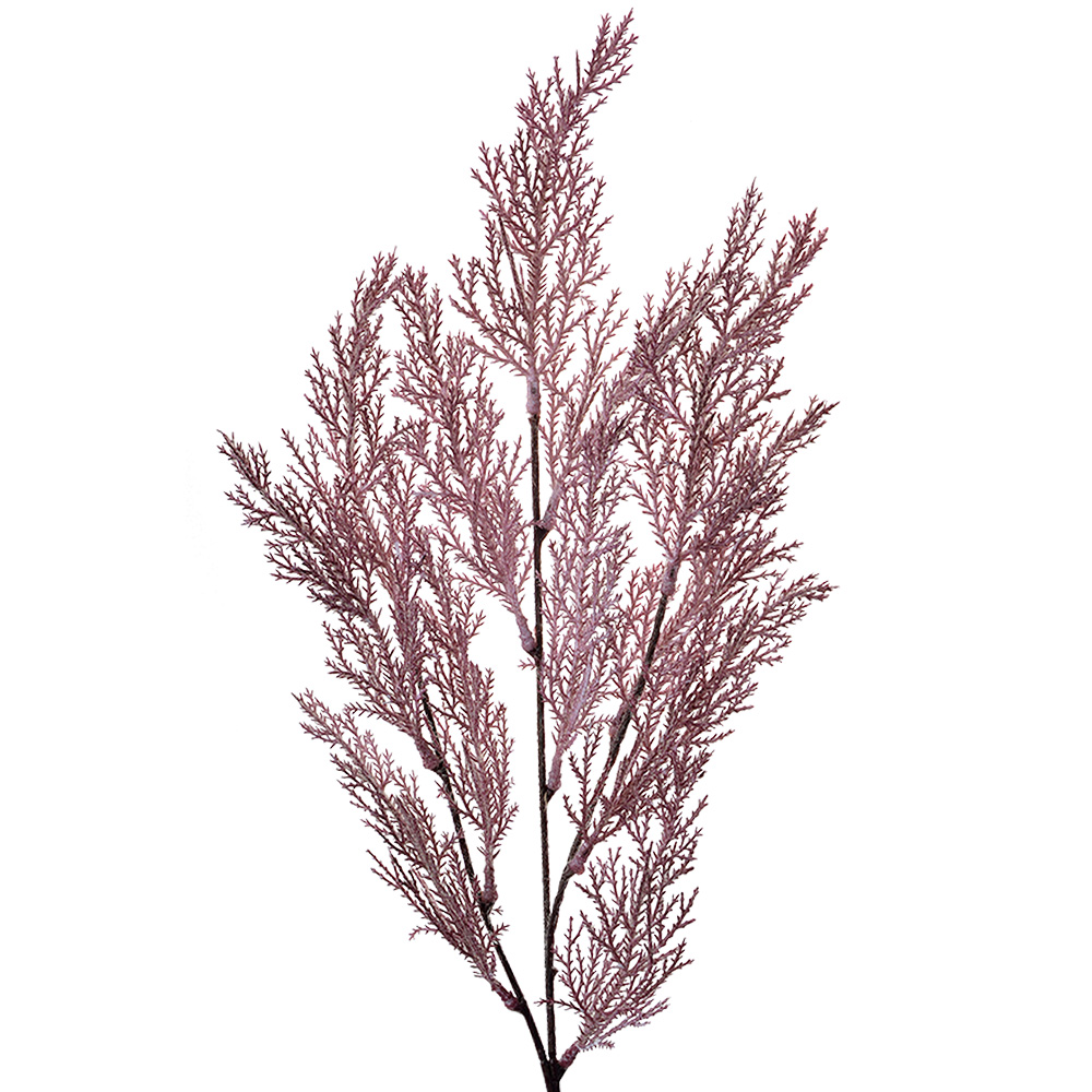 [5PL0052] Decoratie tak 10x4x75 cm
