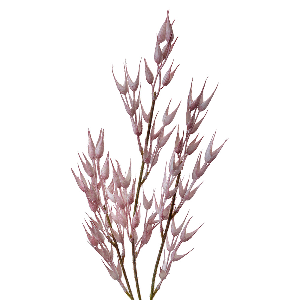 [5PL0058] Decorative Artificial Branch Pink 6x6x72 cm