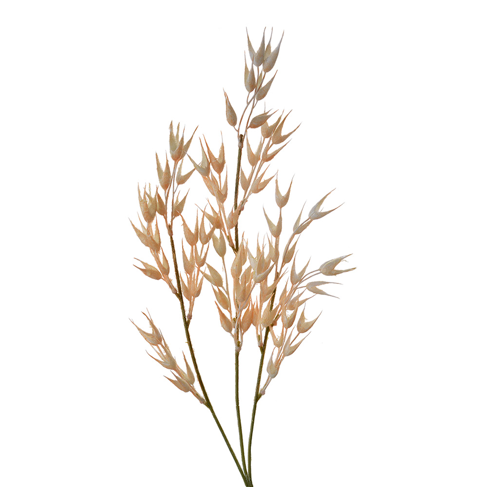 [5PL0059] Deko Ast Braun 6x6x72 cm