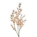 Rami Artificiali Decorativi Marrone 6x6x72 cm