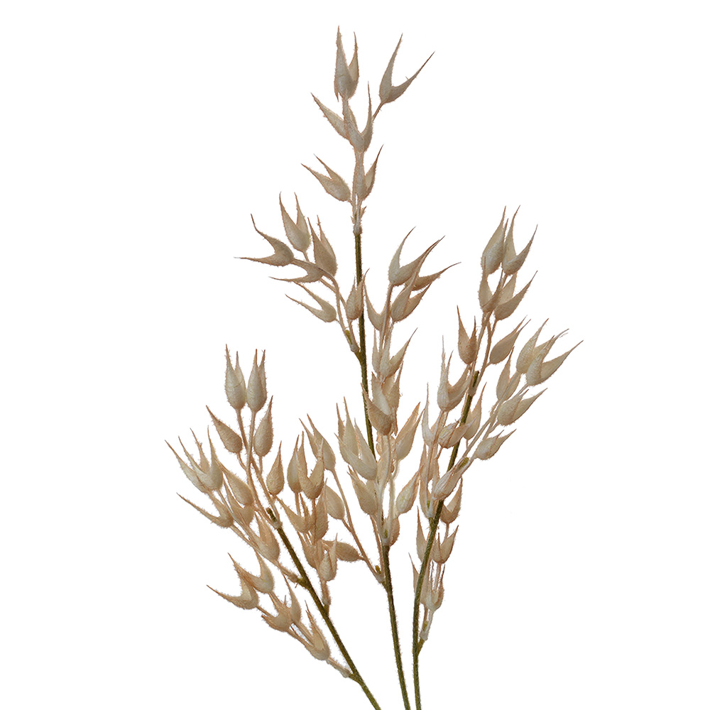 [5PL0061] Decorative Artificial Branch Beige Brown 15x2x72 cm