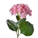 Kunstbloem 15x10x67 cm