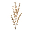 Branche de décoration avec fleurs Beige 6x6x102 cm
