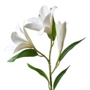 Decorative Artificial Branch with flowers White Green 17x12x71 cm