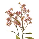 Branche de décoration avec fleurs Rose Vert 15x7x70 cm