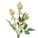 Decorative Artificial Branch with flowers Beige Green 16x7x68 cm