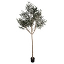 Albero di Ulivo decorazione Verde Beige 120x80x240 cm