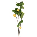 Branche de citron en décoration Jaune Vert 10x7x73 cm