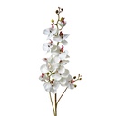 Rami Artificiali Decorativi con fiori Bianco Verde 15x8x116 cm
