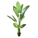 Decoratie kamerplant 40x40x180 cm