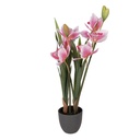 Artificial Plant Cattleya Hybrida Pink Green 14x14x55 cm