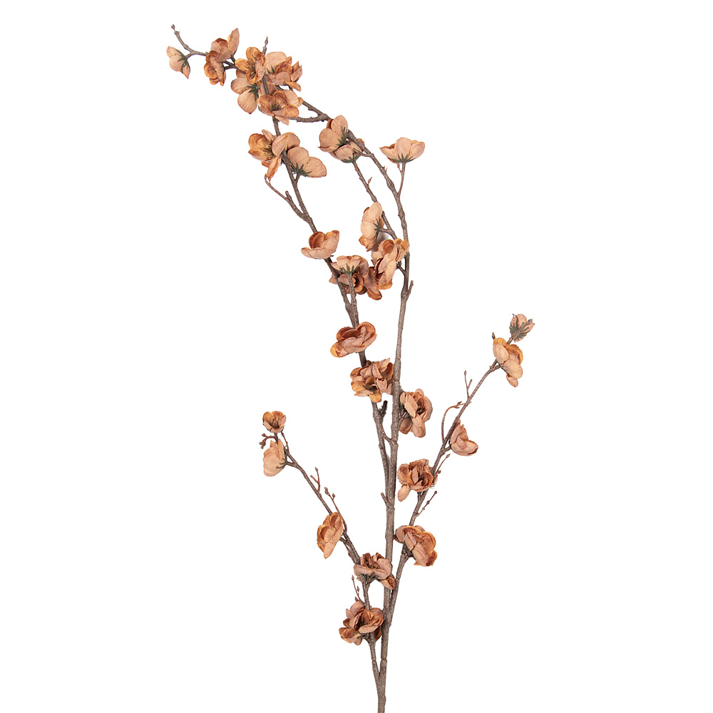 [5PL0254CH] Branche de décoration avec fleurs Marron 8x15x120 cm