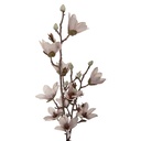 Decorative Artificial Branch with flowers Beige Brown 12x15x92 cm