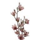 Branche de décoration avec fleurs Rose Marron 12x15x92 cm