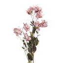 Branche de décoration avec fleurs Rose Vert 14x14x120 cm