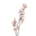 Branche de décoration avec fleurs Blanc Brun 14x16x120 cm