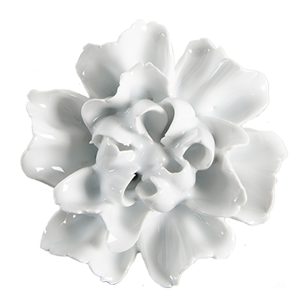 Deurknop Ø 6x3/6 cm