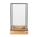 Serre de décoration Transparent Marron 14x14x24 cm