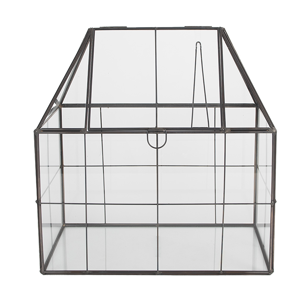 [6GL5368] Decorative Propagator Transparent Black 25x16x26 cm