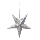 Decoratie ster 30x10x30 cm