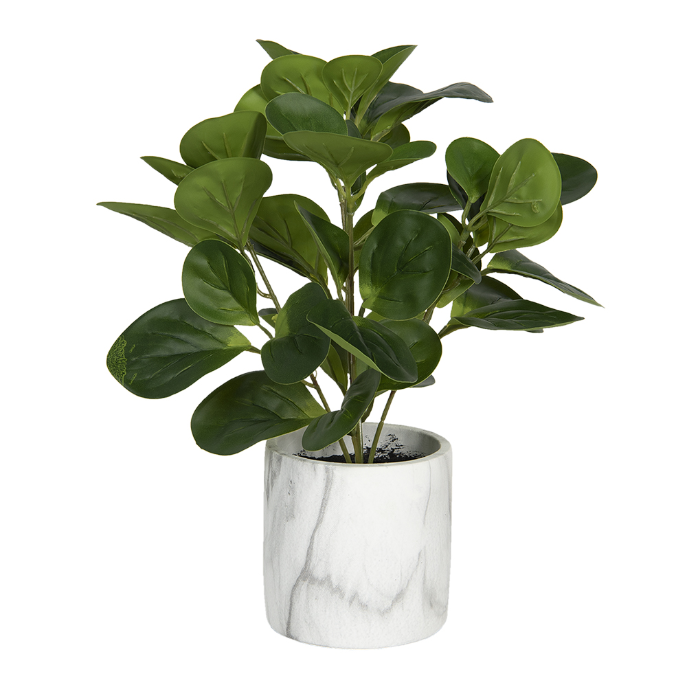 Decoratie kunstplant 31x31x32 cm