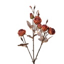 Decorative Artificial Branch with flowers Orange Brown 16x9x73 cm