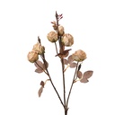 Decorative Artificial Branch with flowers Beige Brown 16x9x73 cm